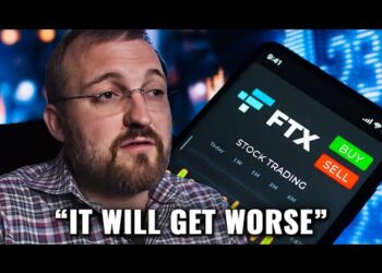 No One Understands How Big This Is Going To Be | Charles Hoskinson