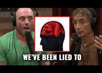 Everything You Know About ADHD & Anxiety Is Wrong | Joe Rogan & Gabor Mate 2 Everything You Know About ADHD & Anxiety Is Wrong | Joe Rogan & Gabor Mate