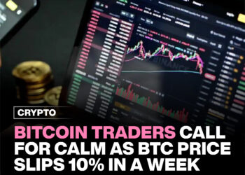 Bitcoin traders call for calm as BTC price slips 10% in a week. 9 Bitcoin traders call for calm as BTC price slips 10% in a week.