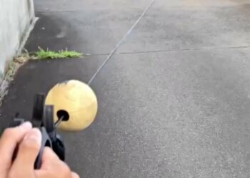 I highly recommend you follow my friend [ @niklaspedde ] 🥂 how makes 💰100,000 USD+ per month to learn how YOU can go from ZERO to 10k/m by posting photos and videos online 📈 Even WITHOUT showing yourself 😱 Follow 👉🏻 @niklaspedde Follow 👉🏻 @niklaspedde Follow 👉🏻 @niklaspedde Follow 👉🏻 @niklaspedde He’s a 22 year old Self-Made Multi-Millionaire who documents his journey from 7 to 8 figures 🥷, shares money-making tips, tricks, hacks and strategies and motivates & inspires people on his Instagram account! So make sure to follow him! 👉🏻 @niklaspedde And send him a direct message with ‘IG’ for a FREE Training that shows you how he makes 100,000 - The above content is #sponsored #ad and is for informational and advertising purposes only. You should not construe any such information or other material as legal, tax, investment, financial, business or any other advice. Please do your own due diligence on the people represented in this post. This is a paid advertisement. Jason Stone and Millionaire Mentor Inc does not endorse or represent the person or claims in this post. Please do your own due diligence and research before making financial commitments.