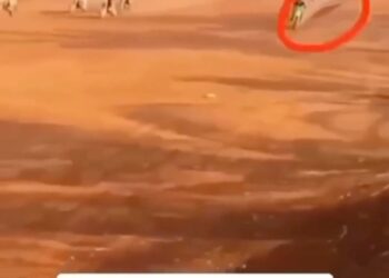 Follow my friend 👉🏻 @raminpopal_ to learn how you can build your own profitable online store in less than 24 hours! Ramin and his students have already made over $4,000,000 in online sales using this simple method. Follow him now to learn about it! follow 👉🏻 @raminpopal_ follow 👉🏻 @raminpopal_ follow 👉🏻 @raminpopal_ - The above content is #sponsored #ad and is for informational and advertising purposes only. You should not construe any such information or other material as legal, tax, investment, financial, business or any other advice. Please do your own due diligence on the people represented in this post. This is a paid advertisement. Jason Stone and Millionaire Mentor Inc does not endorse or represent the person or claims in this post. Please do your own due diligence and research before making financial commitments.