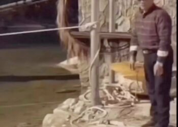 Follow my friend 👉🏻 @raminpopal_ to learn how you can build your own profitable online store in less than 24 hours! Ramin and his students have already made over $4,000,000 in online sales using this simple method. Follow him now to learn about it! follow 👉🏻 @raminpopal_ follow 👉🏻 @raminpopal_ follow 👉🏻 @raminpopal_ - The above content is #sponsored #ad and is for informational and advertising purposes only. You should not construe any such information or other material as legal, tax, investment, financial, business or any other advice. Please do your own due diligence on the people represented in this post. This is a paid advertisement. Jason Stone and Millionaire Mentor Inc does not endorse or represent the person or claims in this post. Please do your own due diligence and research before making financial commitments.